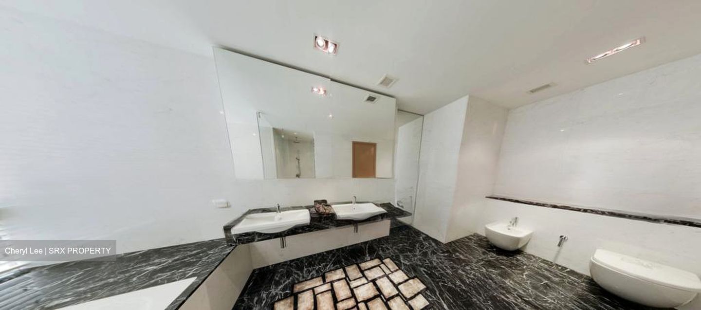Skysuites@Anson (D2), Apartment #514496751